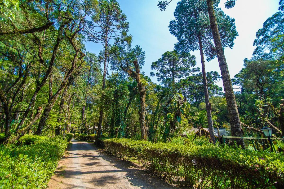 Pousada Villa D'Amore Монти-Верди Экстерьер фото